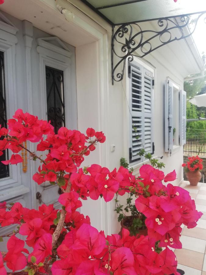 La Casa Di Caterina: Nature,Relax And Private Garden Lefkada City Bagian luar foto