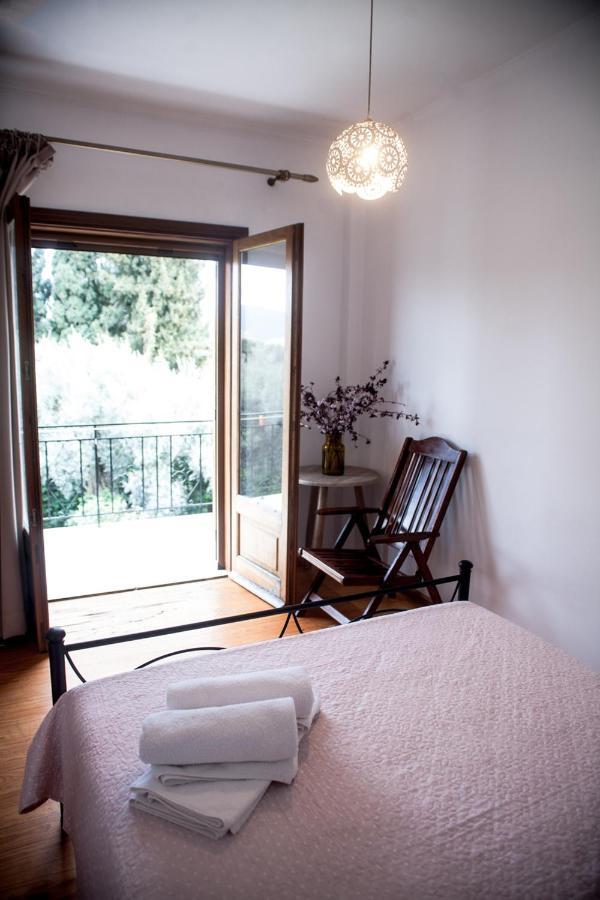 La Casa Di Caterina: Nature,Relax And Private Garden Lefkada City Bagian luar foto