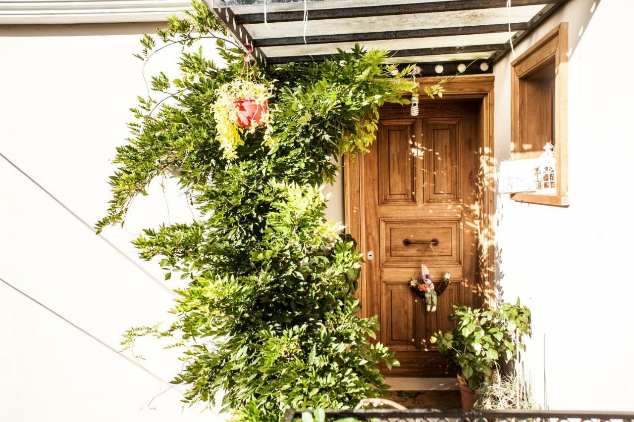 La Casa Di Caterina: Nature,Relax And Private Garden Lefkada City Bagian luar foto